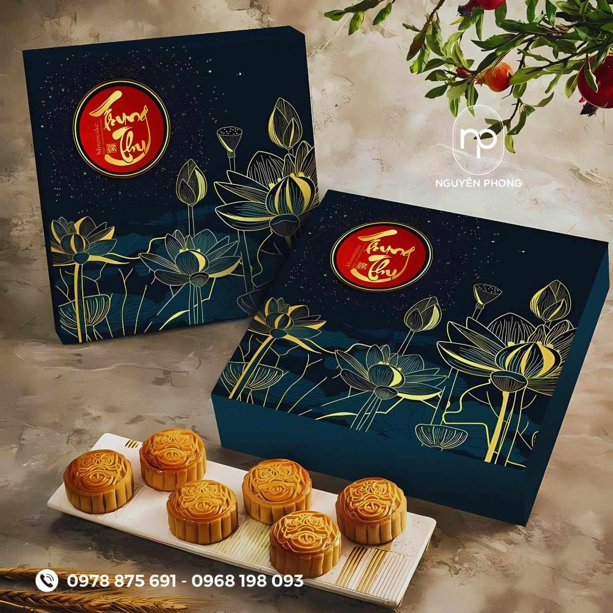 Kích thước mẫu đựng 6 bánh trung thu
